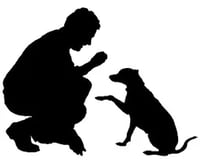 Problem Pawz Dog Training logo