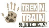 TREK 'N' TRAIN logo