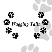 Wagging Tails Dog Walking and Pet Care logo