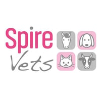 Spire Vets logo