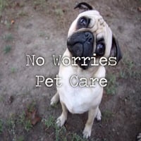 No Worries Pet Care logo