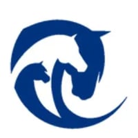 De Boer & Taylor logo