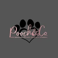 Pooch & Co logo