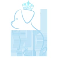 Doghealth dog runs logo