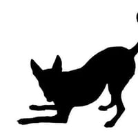 Doggy Style Studio logo