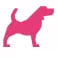 David's Canine Care logo
