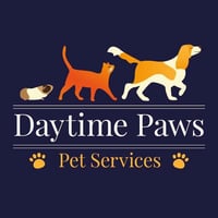 Daytime Paws logo