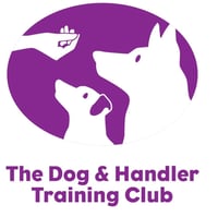 The Dog and Handler Training Club logo