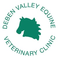 Deben Valley Equine Veterinary Clinic logo