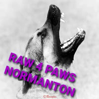 Raw 4 Paws Normanton logo
