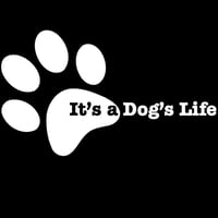 It's a Dog's Life Wiltshire logo
