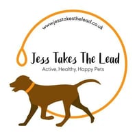 Jess Takes The Lead Cardiff logo