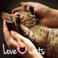 Love Cats logo