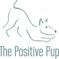 Avon Dog Services logo