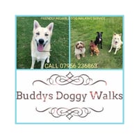 Buddys Doggy Walks York logo