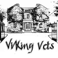 Viking Vets logo