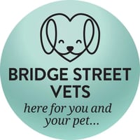 Bridge Street Veterinary Practice logo
