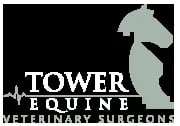 Tower Equine logo
