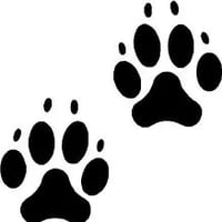 Sarah Matthews Dog Behaviour & Training logo