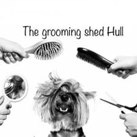 The Grooming Shed Hull logo