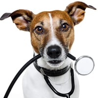 Clanrye Veterinary Clinic logo