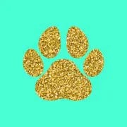 Golden Paws Grooming Ltd logo