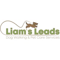 Liam's Leads logo