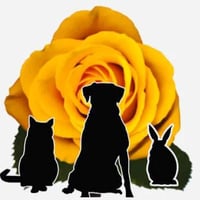 Arkadia Dog Grooming & Pet Services logo