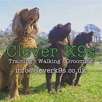 Clever K9s logo