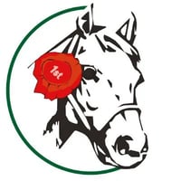 Mayo Horse Comfort logo