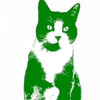 Lords Hill Cattery logo