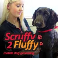 SCRUFFY 2 FLUFFY MOBILE DOG GROOMING logo