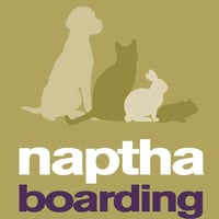 Naptha Boarding logo