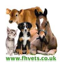 Forest House Veterinary Surgery logo