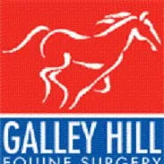 Galley Hill Equine Surgery logo