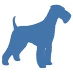 Dapper Dogs by Debbie logo