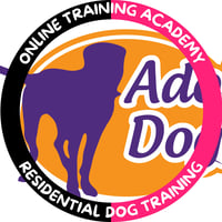 Adolescent Dogs logo