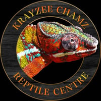 Krayzee Chamz Reptile Centre logo