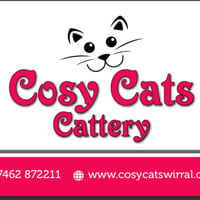 Cosy Cats Cattery Wirral logo