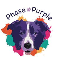 Phase Purple Agility Training logo