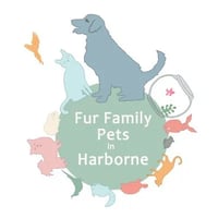 Fur Family Pets in Harborne Park Road logo