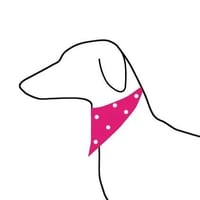 The Dog & Comb Grooming Co logo