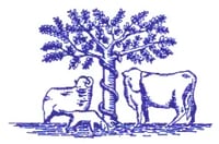 Bredy Veterinary Centre logo